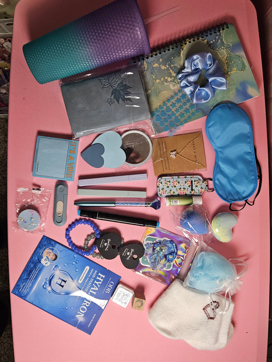 BOOKTOK 20 ITEM BLIND BOX W/JOURNAL